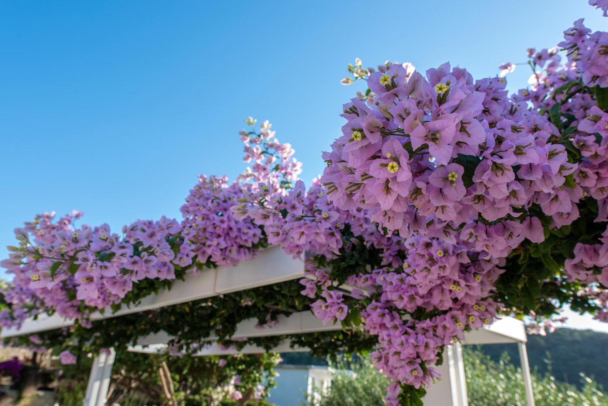 Hill Lofos Hotel Kassiopi Dış mekan fotoğraf